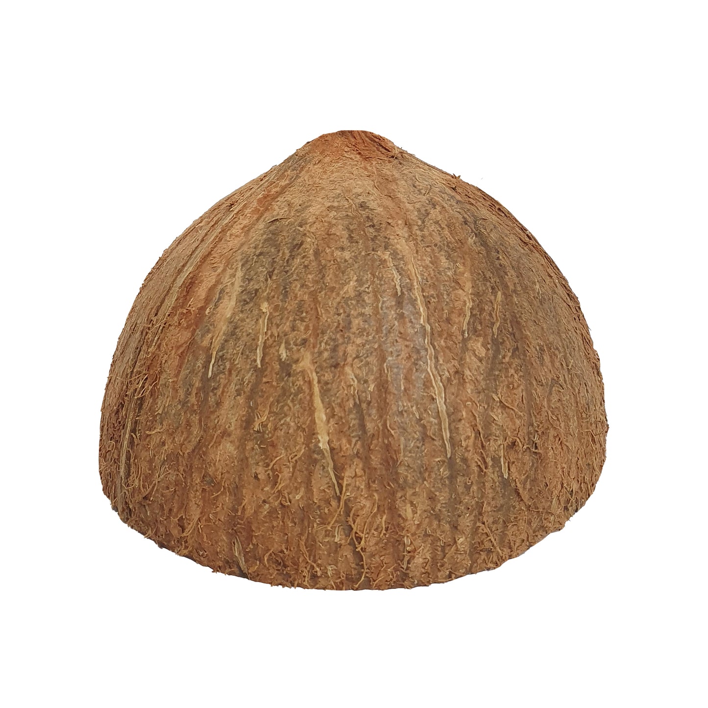 Lakpura®ココナッツシェルハーフ