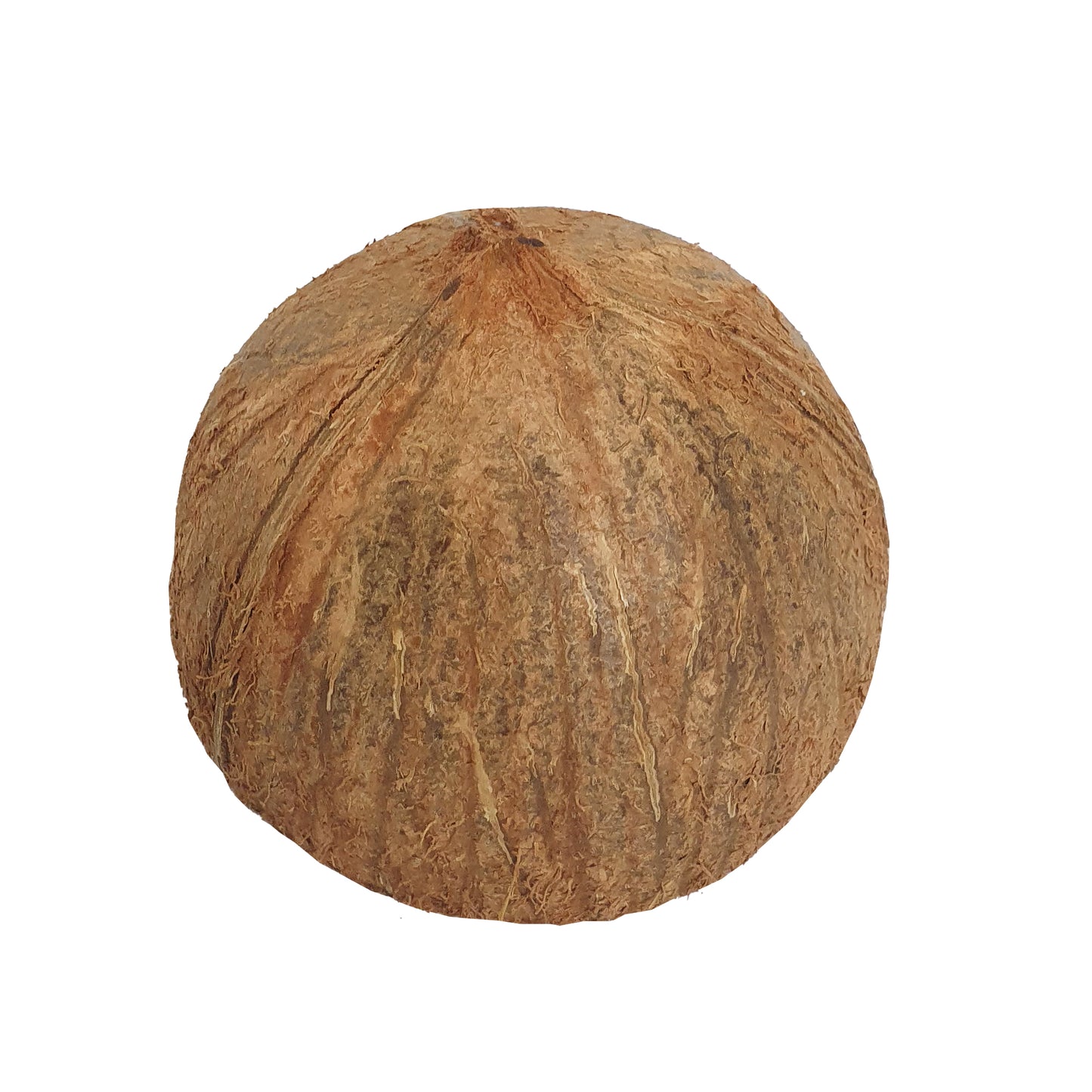 Lakpura®ココナッツシェルハーフ