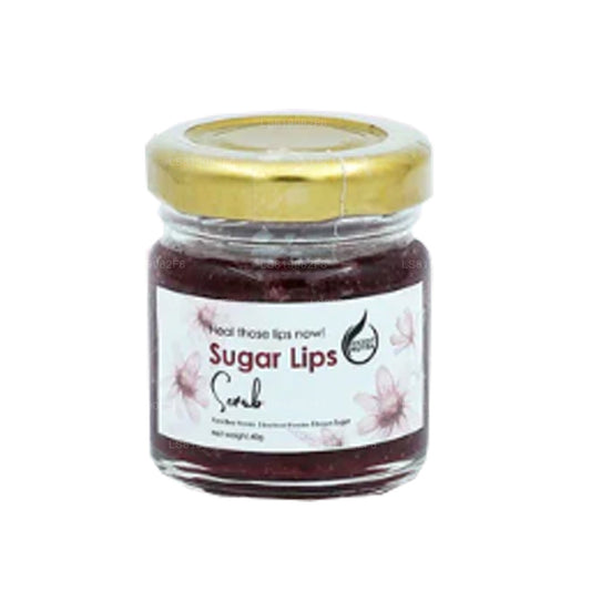 エンシェント ニュートラ シュガー リップ スクラブ (40g)