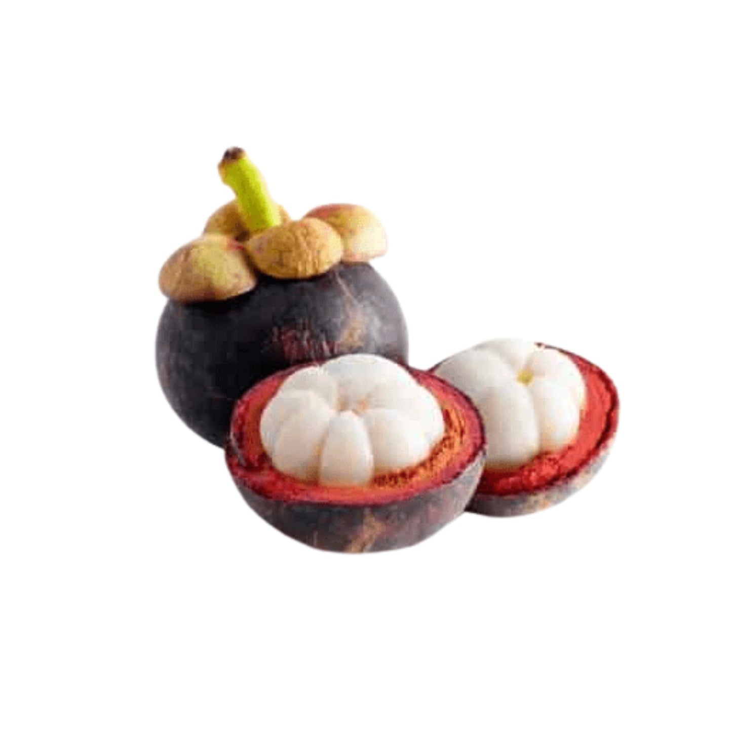 Lakpura Mangosteen