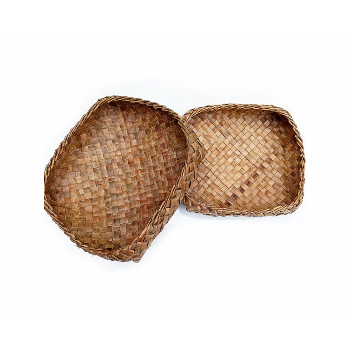 ラクプラココナッツリーフワッティ (20cm)