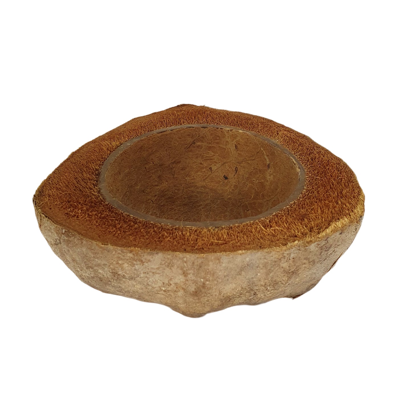 Bivenro 天然ココナッツ植木鉢デザイン (フリーサイズ)