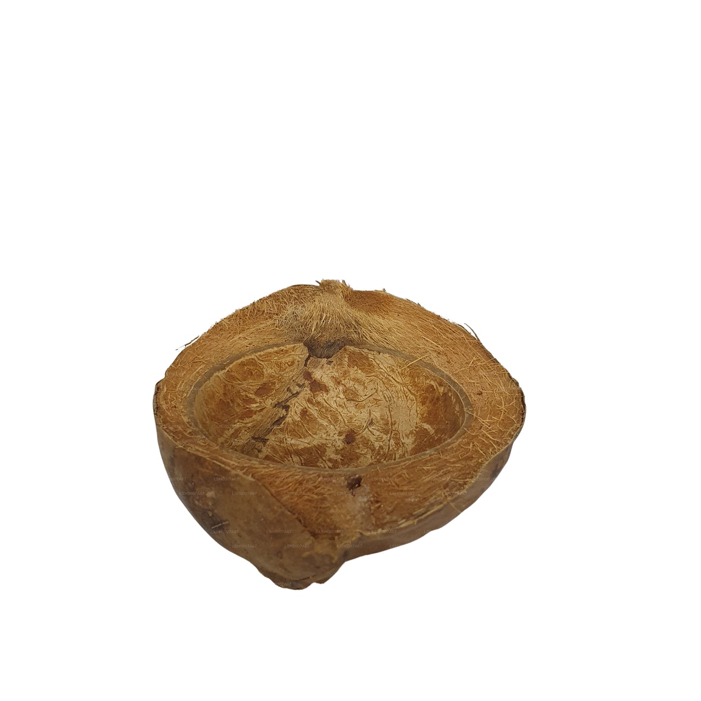 Bivenro Natural Coconut Pet Bowl Design (Free Size)