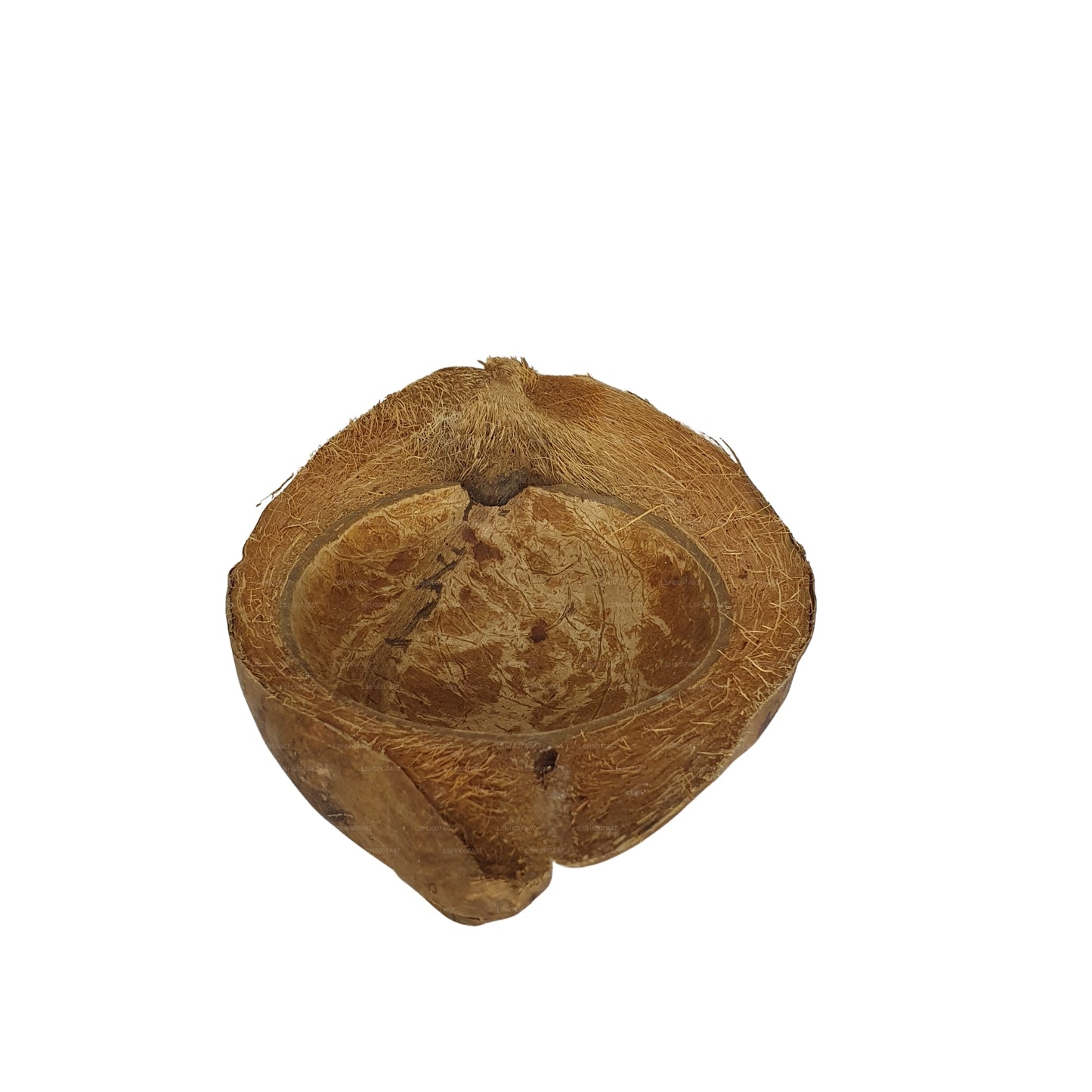 Bivenro Natural Coconut Pet Bowl Design (Free Size)