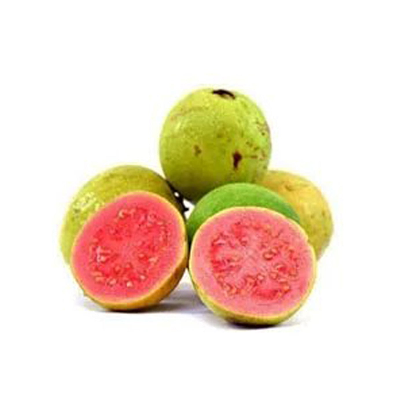 アップルレッドグアバ (රතු ඇපල් පේර ලේයර්) 果樹