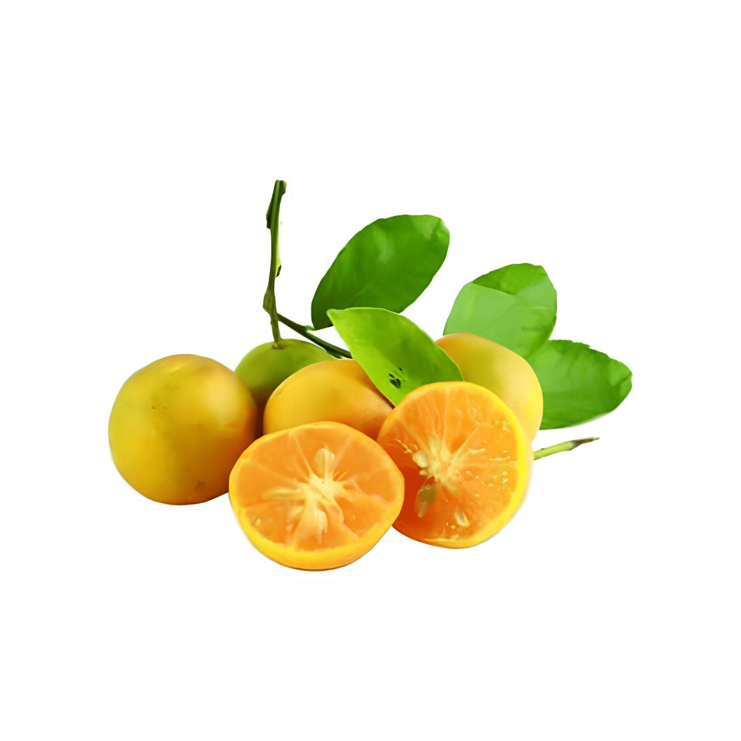 ヒーン・ナラン (හීන් නාරන් බද්ධ) 果樹