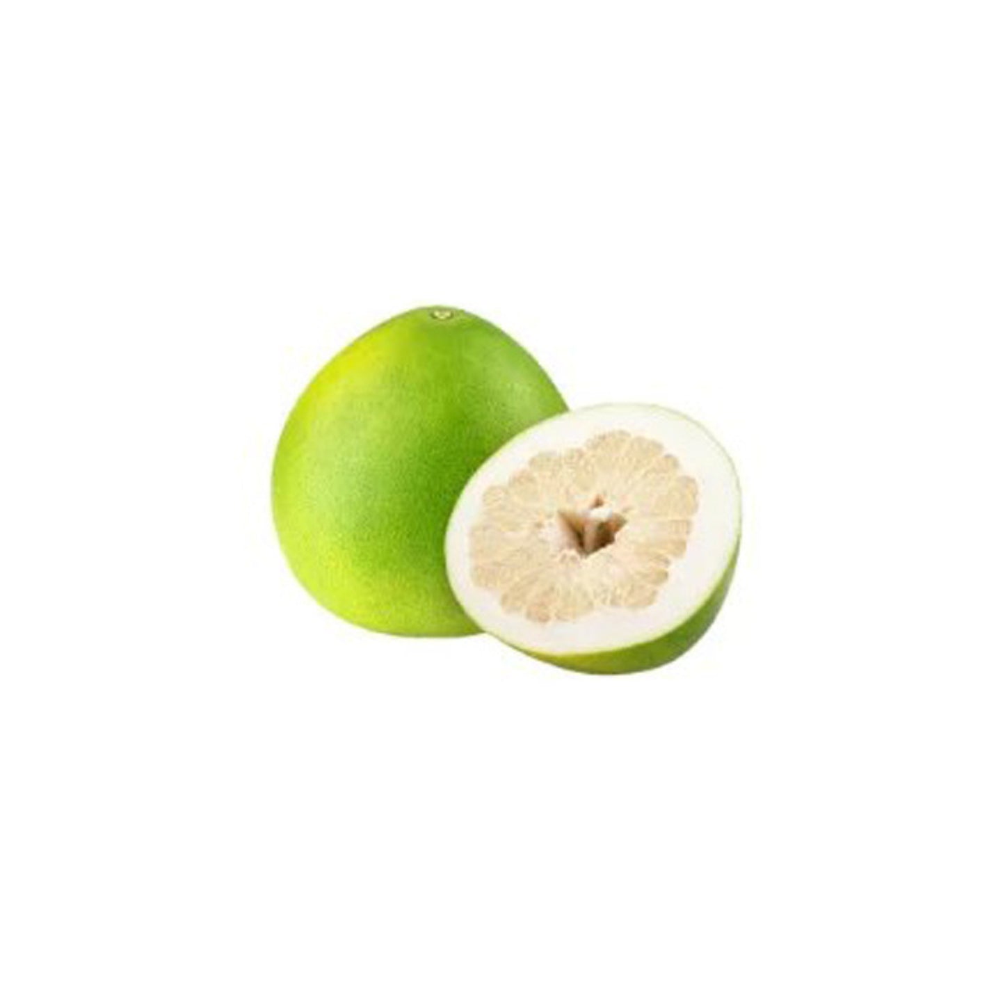 ラクプラ® タイホワイトポメロ接ぎ木苗