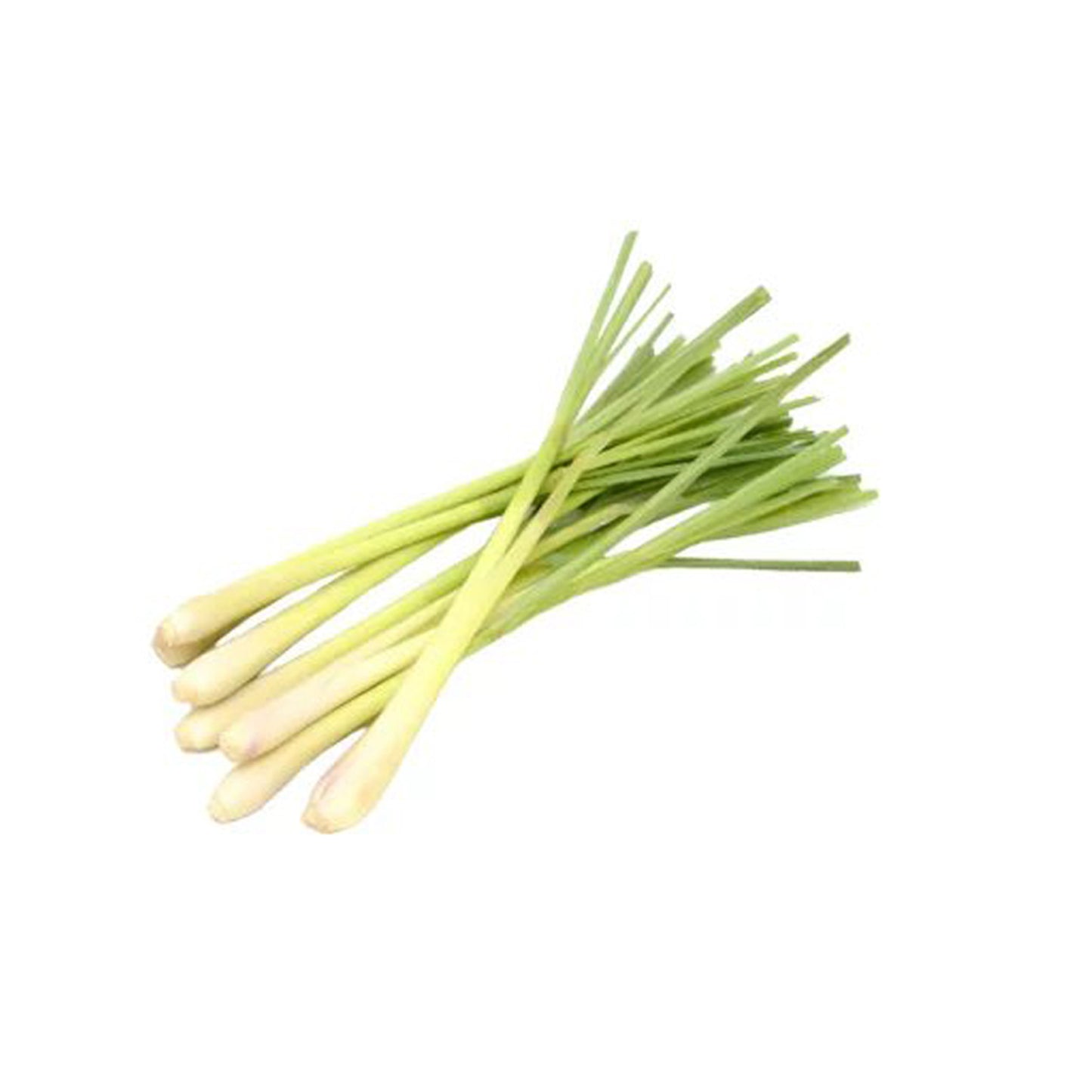 レモングラス (සේර) スパイス植物
