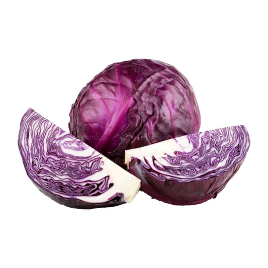 パープルキャベツ