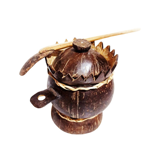 ソルトコンテナ ウェーブカット