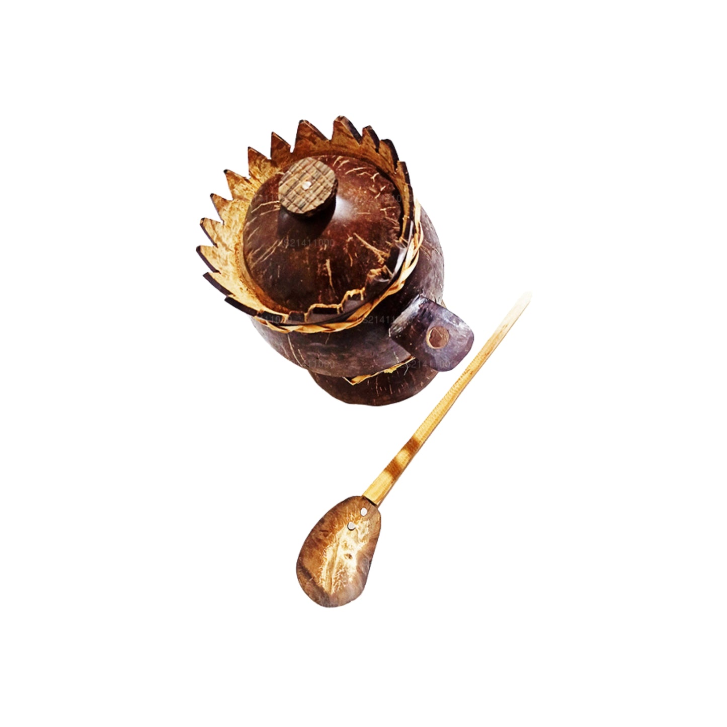 ソルトコンテナ ウェーブカット