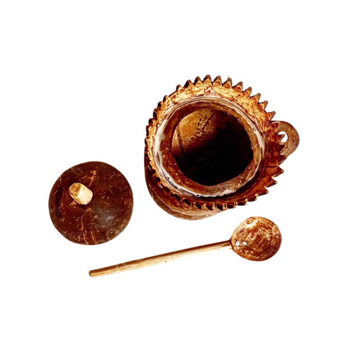 ソルトコンテナ ウェーブカット