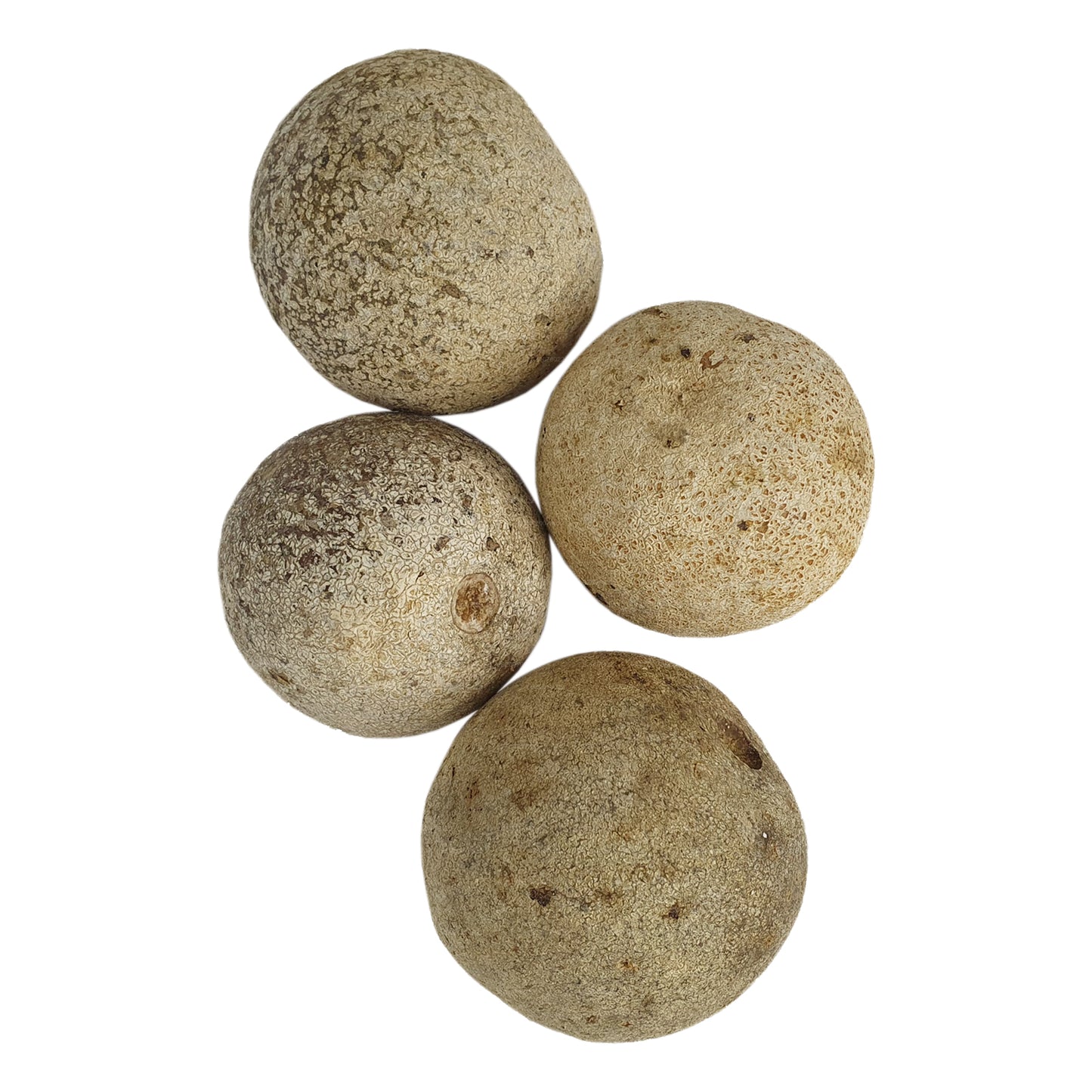 ラクプラウッドアップル