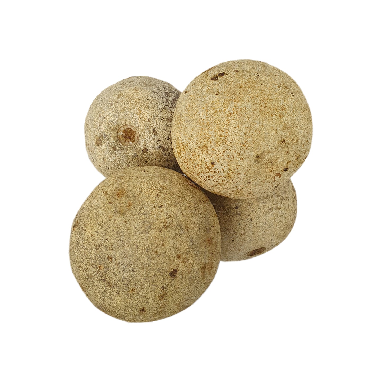 ラクプラウッドアップル