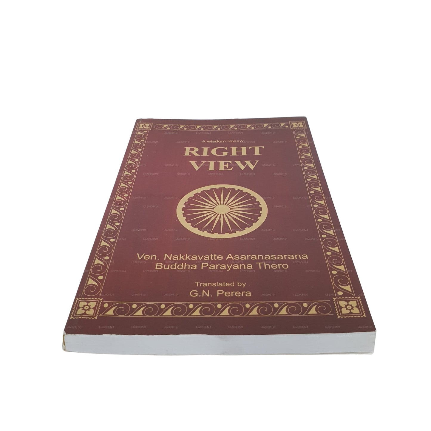 知恵のレビュー - 正しい視点