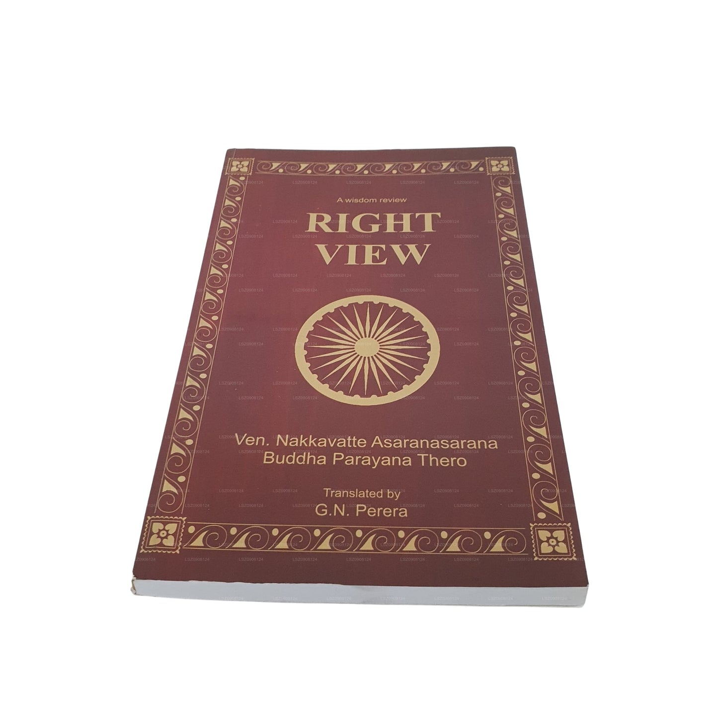 知恵のレビュー - 正しい視点