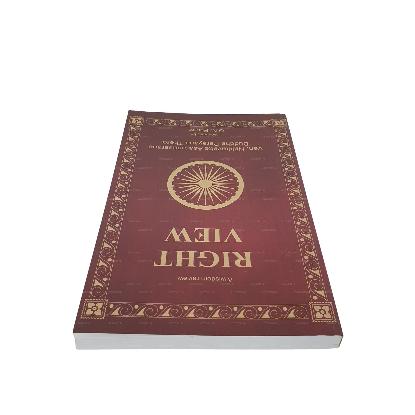 知恵のレビュー - 正しい視点