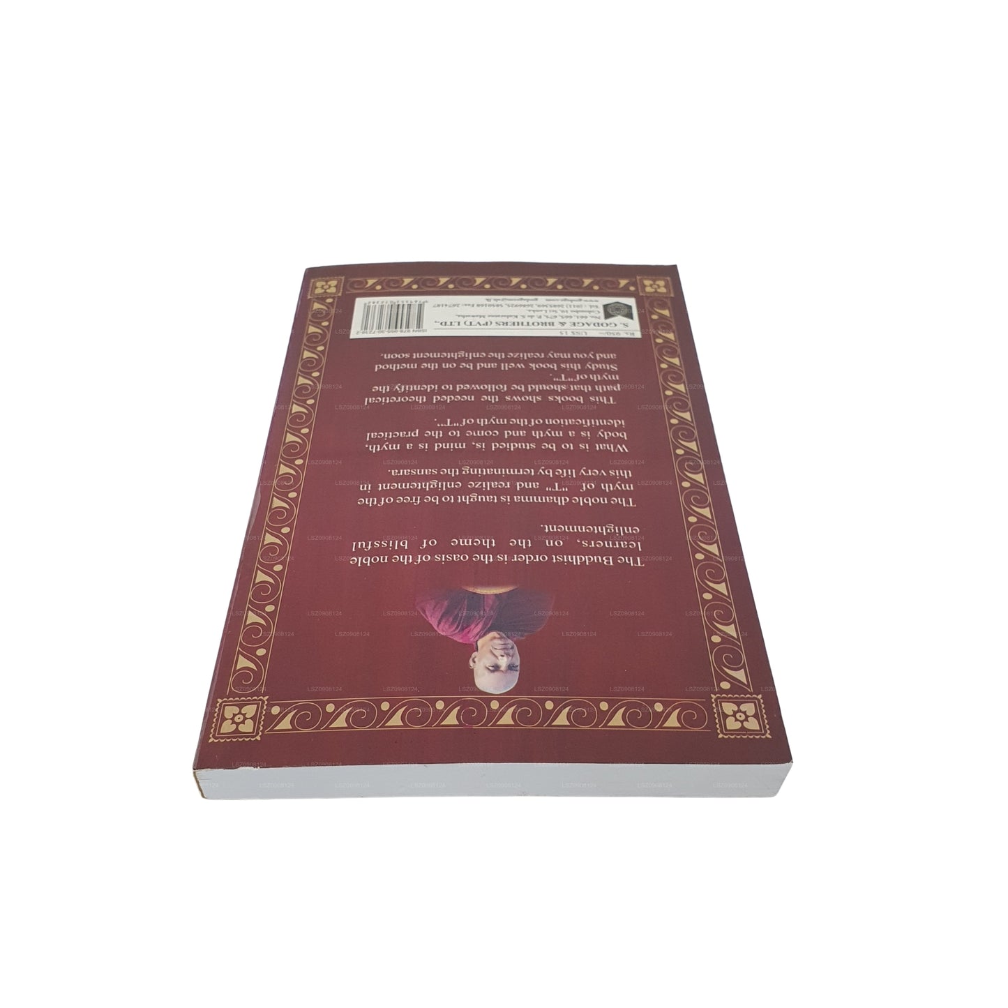 知恵のレビュー - 正しい視点