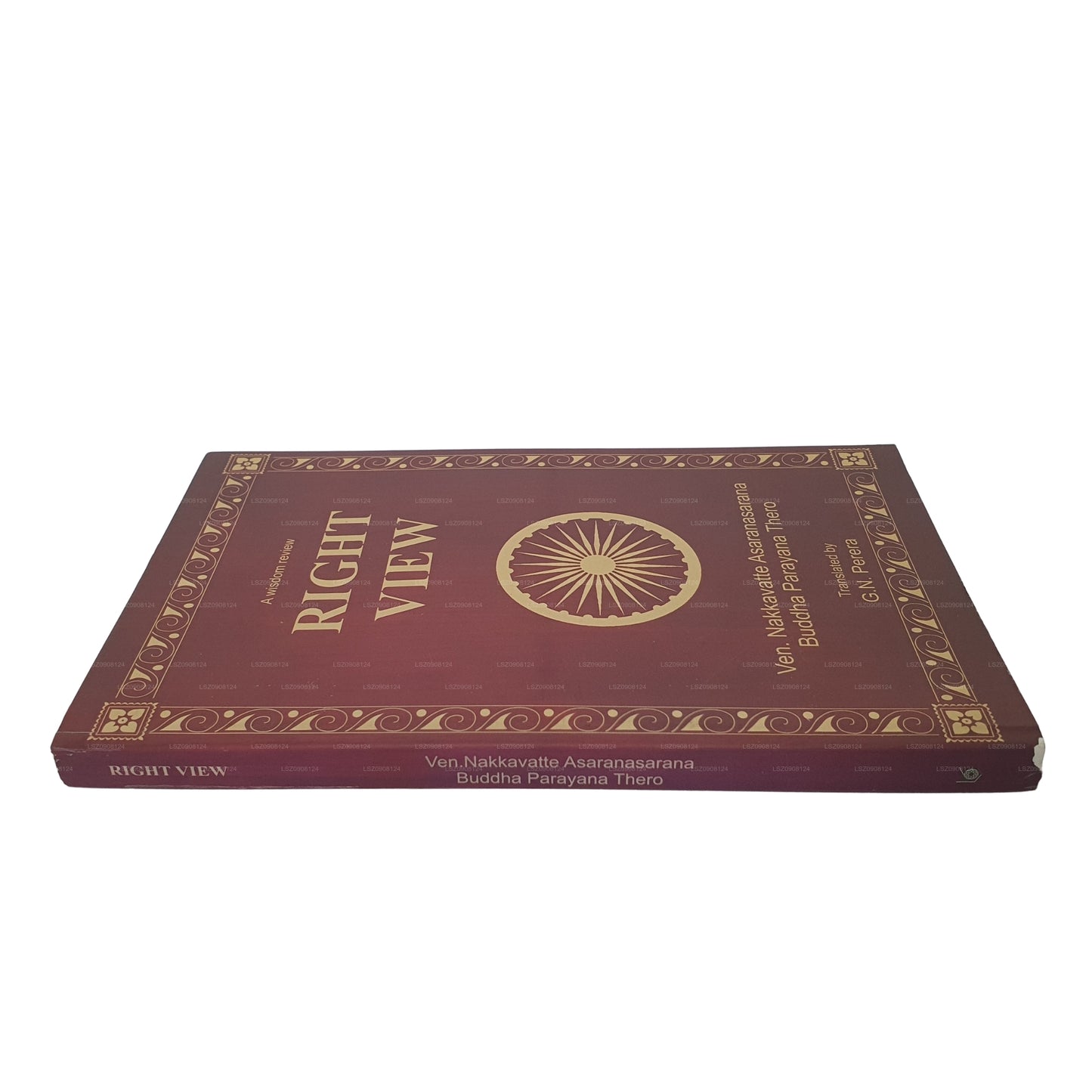 知恵のレビュー - 正しい視点