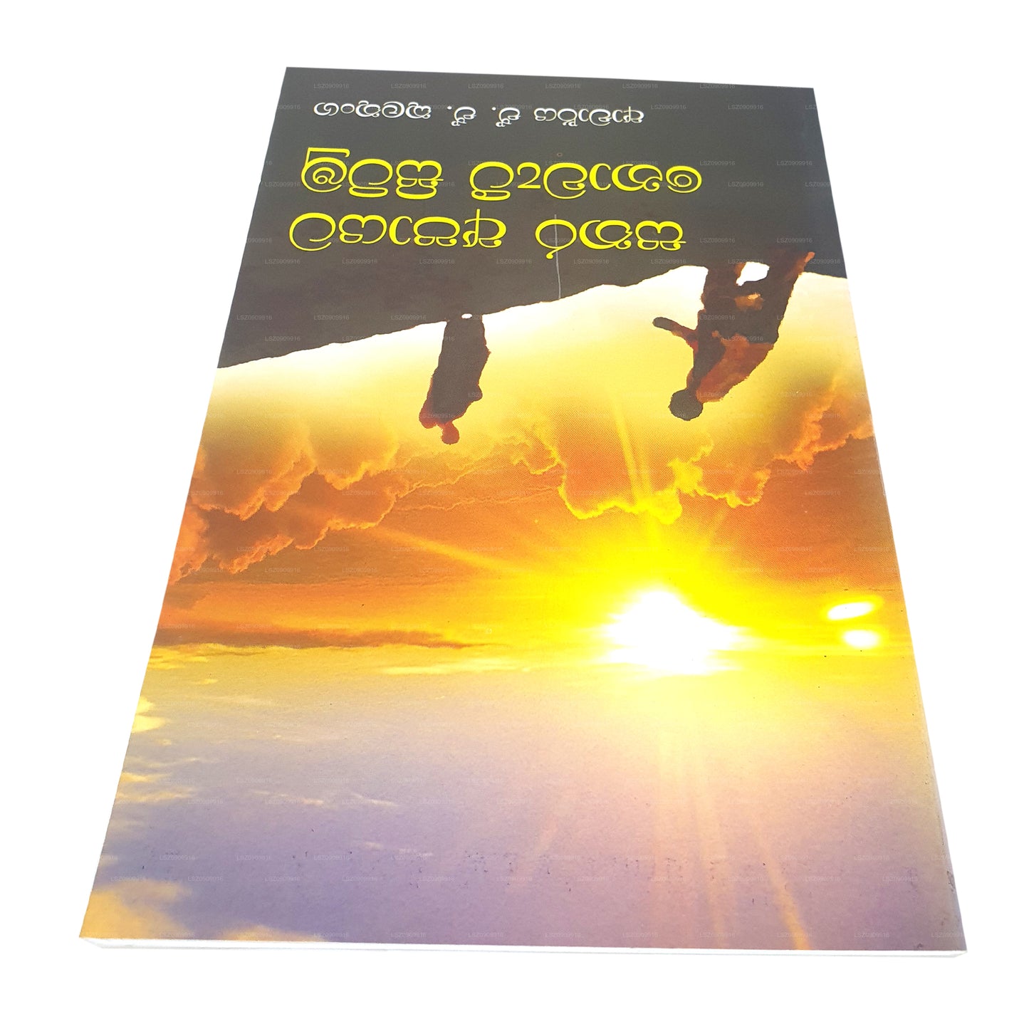 サタラ アパヤタ ノワティー シティム