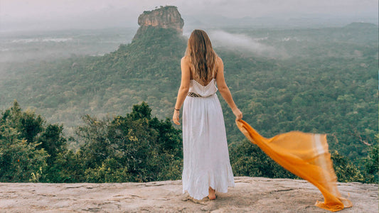 文化と遺産 (9 時間)