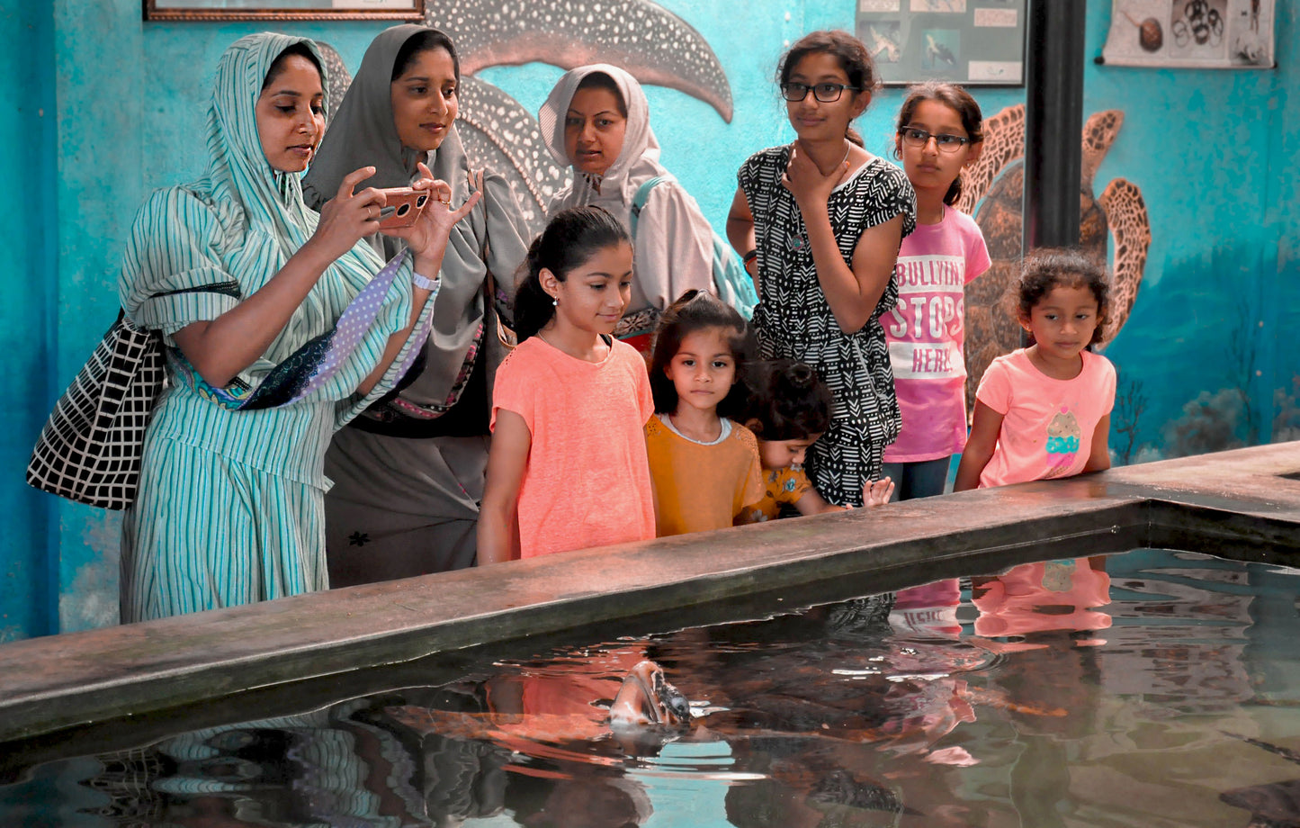 コロンボ発 海、砂、海洋生物（2日間）