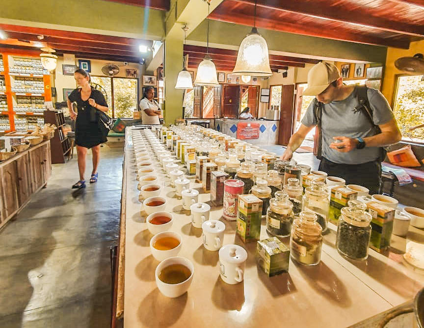 ネゴンボ発の海、砂、海洋生物（2日間）