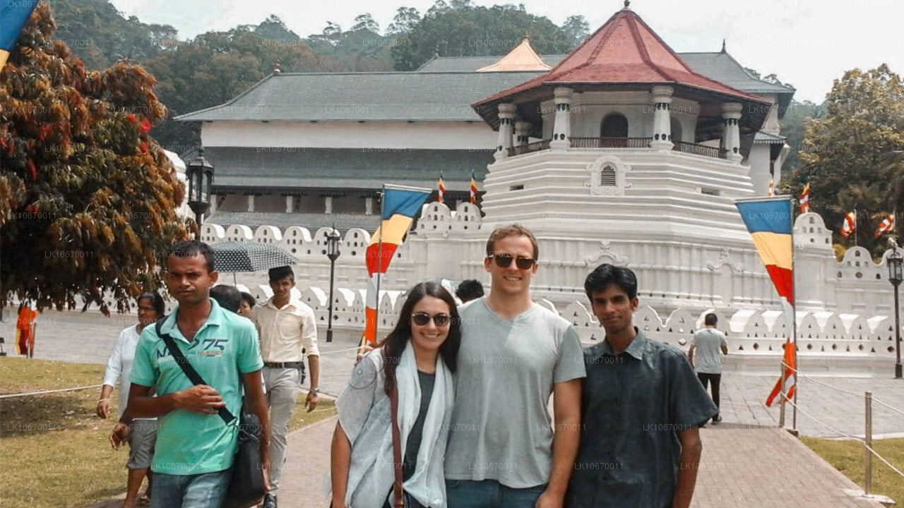 КУЛЬТУРА И ЦЕНТР СТРАНЫ (6 日)