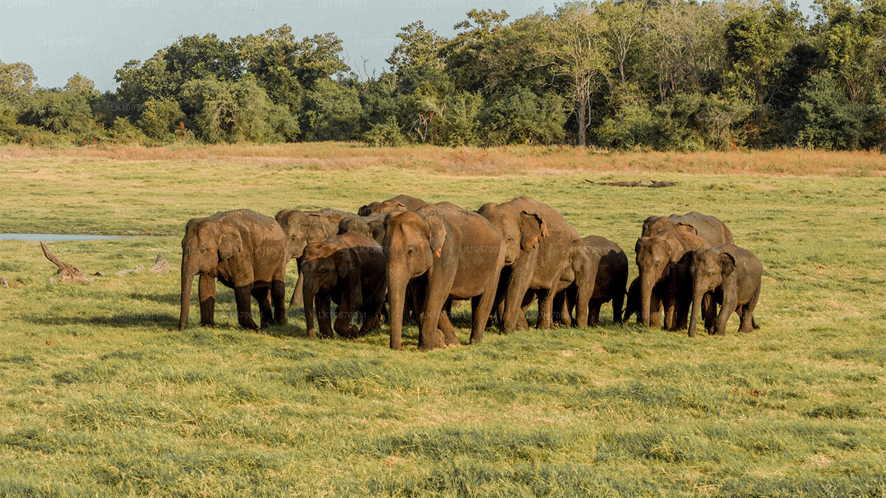 КУЛЬТУРА И ЦЕНТР СТРАНЫ (6 日)