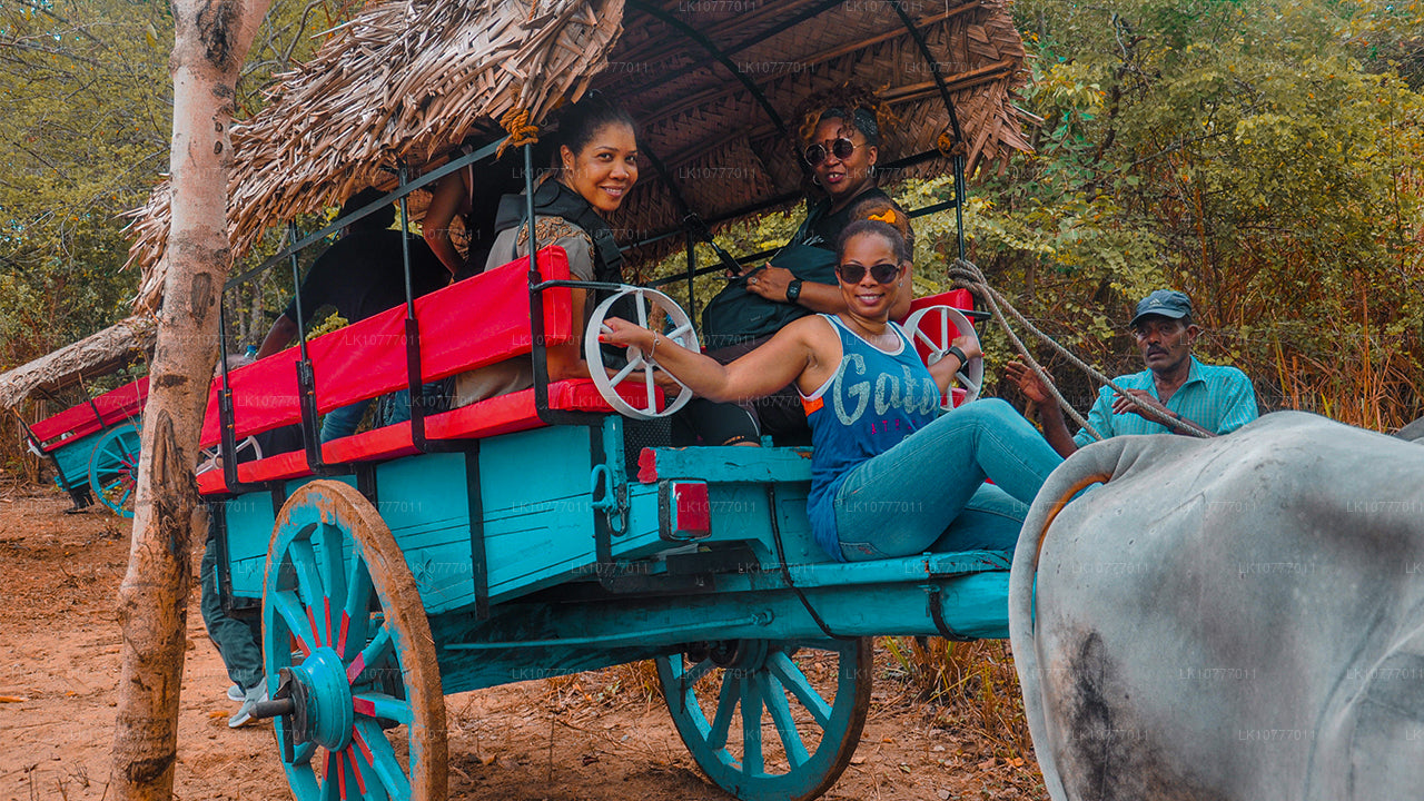 Неделя в раю (7 日)