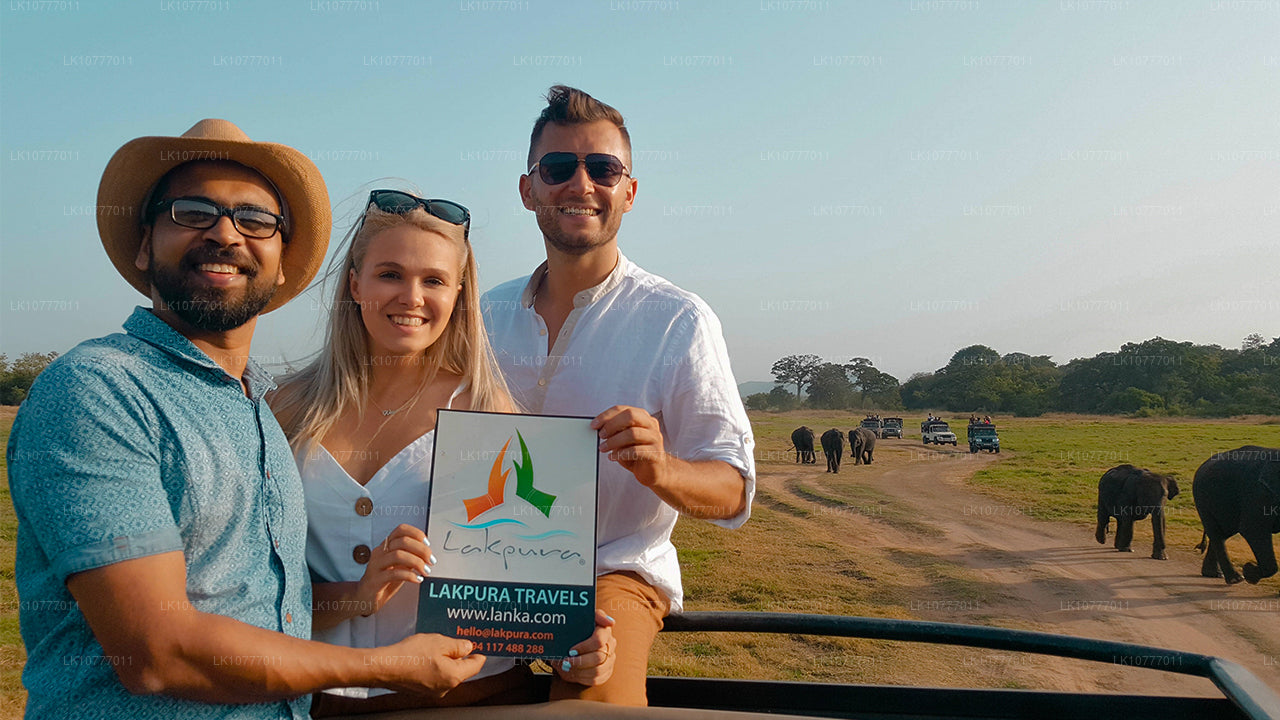 Неделя в раю (7 日)