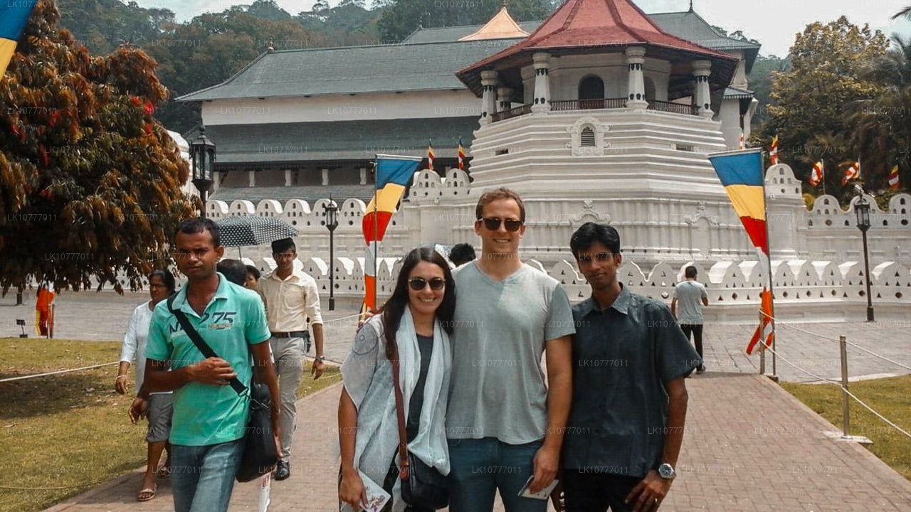 Неделя в раю (7 日)