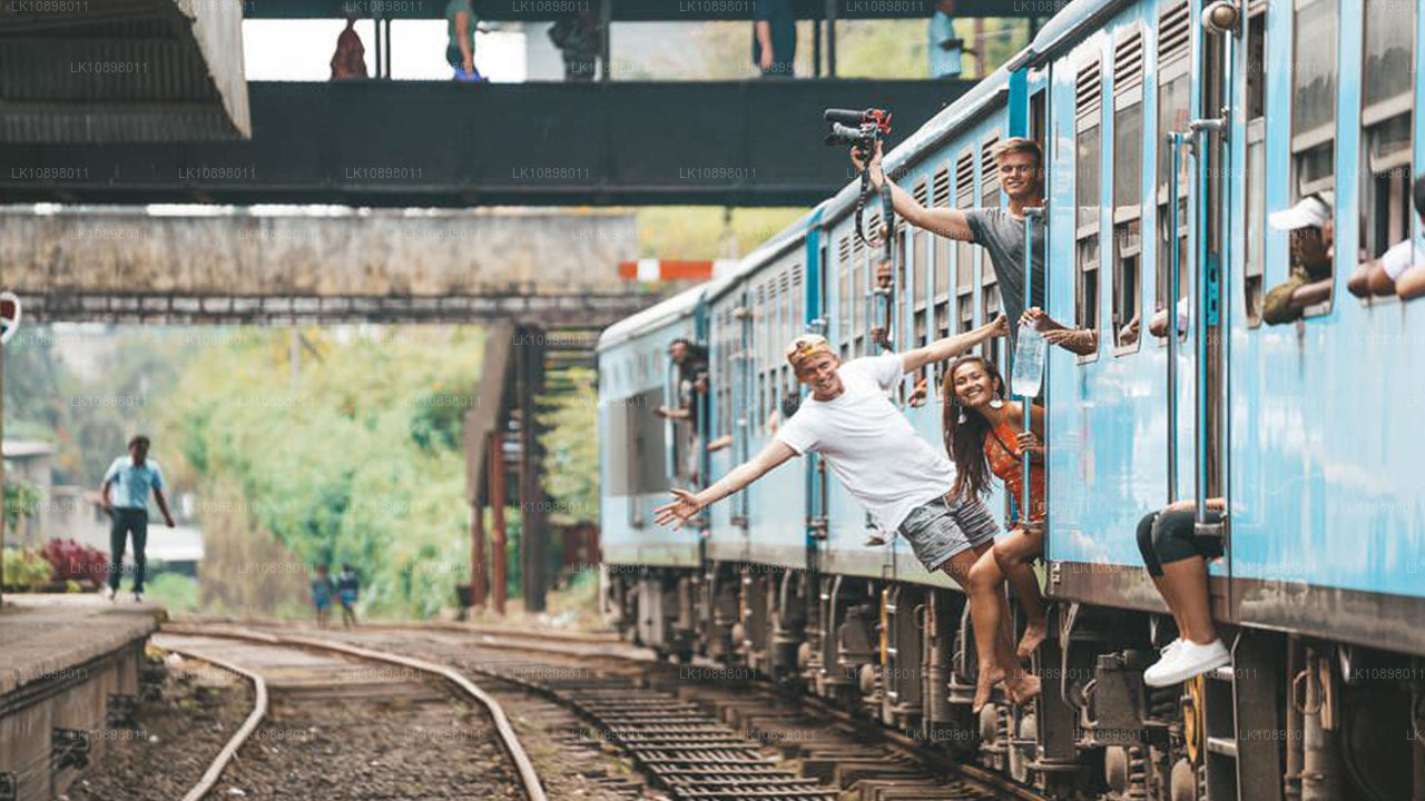 鉄道でセレンディブを探検（8日間）