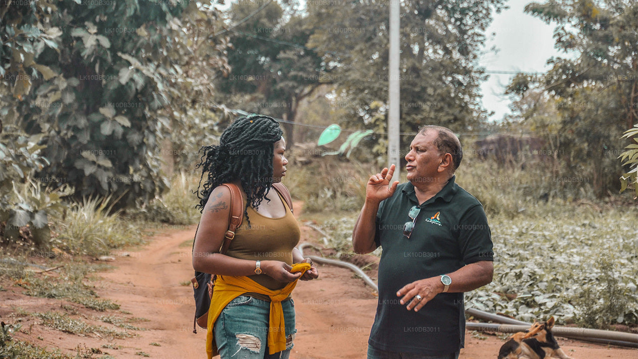 ПУТЕШЕСТВИЕ ВОКРУГ ЦЕЙЛОНА (13 日)