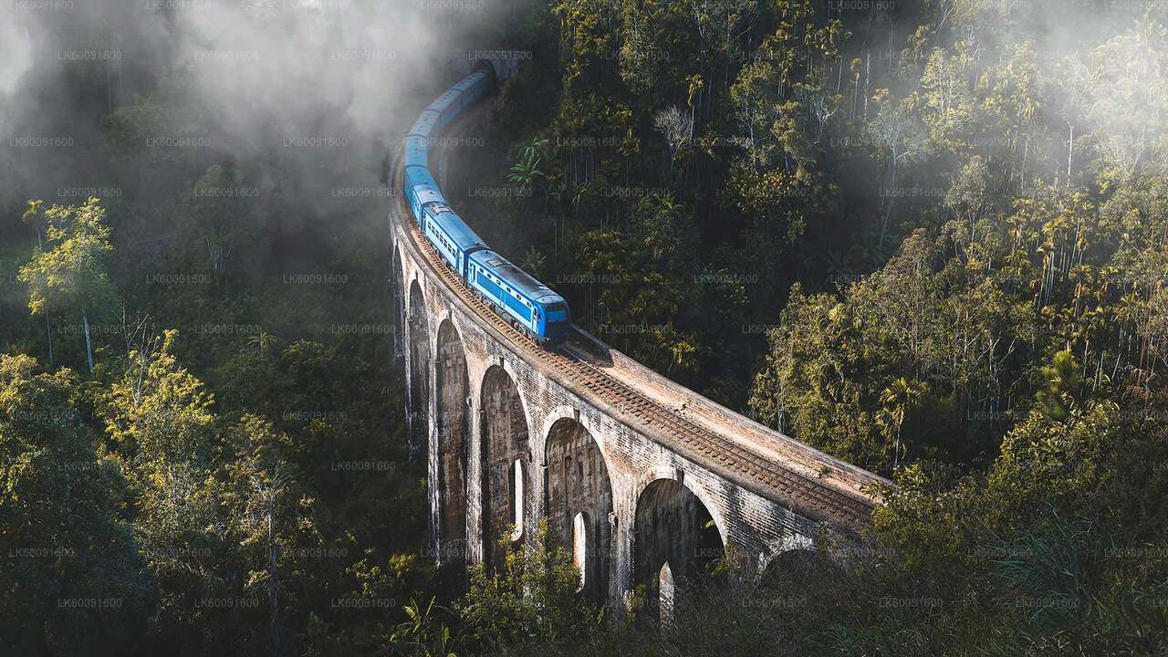 エラ発アディシャム鉄道ツアー