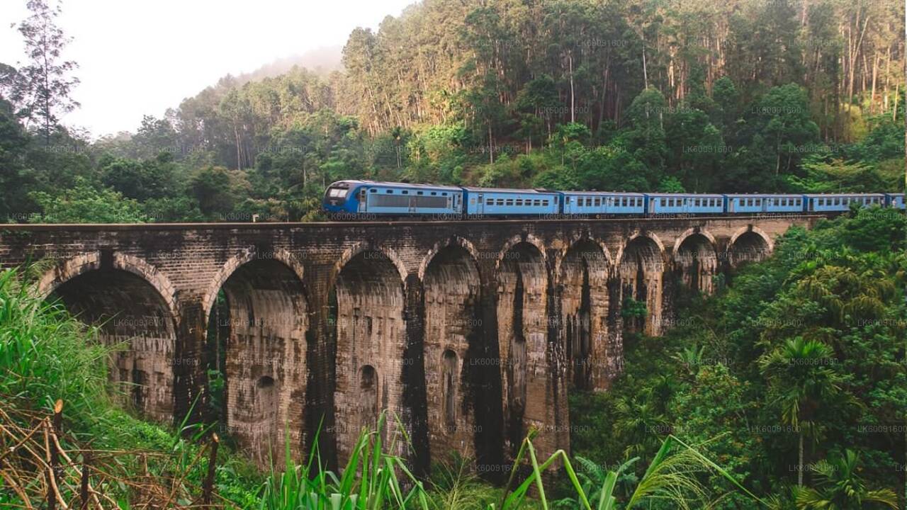 エラ発アディシャム鉄道ツアー