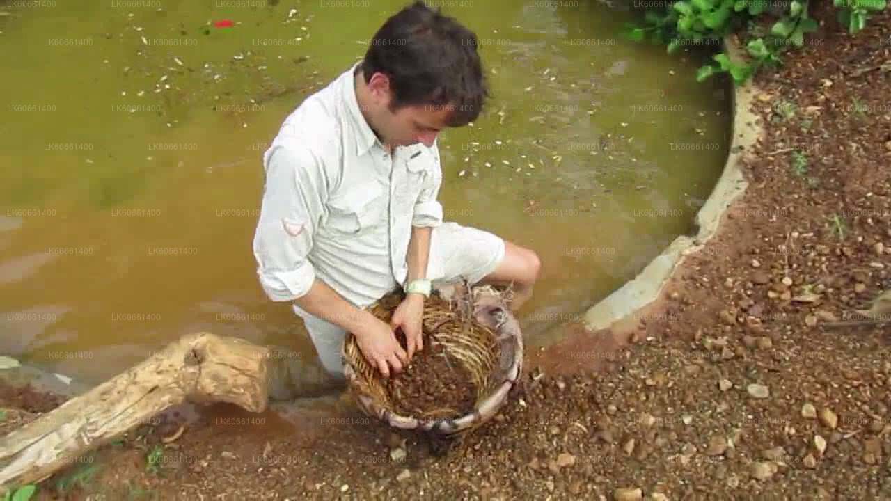 マウント・ラビニアからラトナプラの宝石鉱山を探検