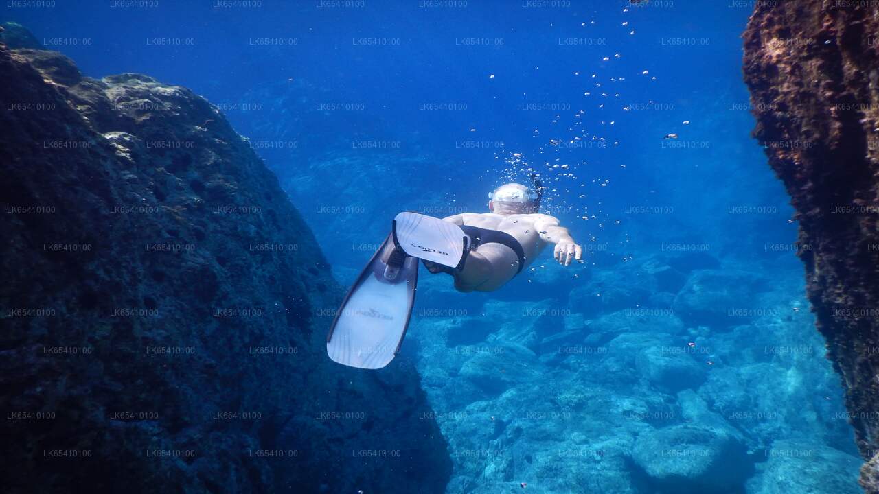 ウナワトゥナ発スキューバダイビング