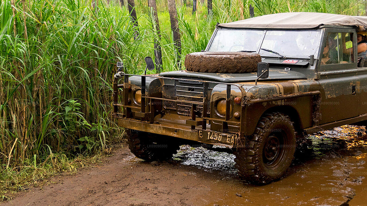 エラ発、エラの象徴的な橋を巡る 4WD ツアー