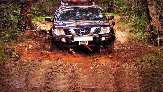 エラ発ホートン プレーンズ国立公園への 4WD ツアー