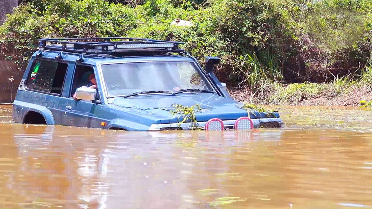 エッラ発ディヤルマ滝への 4WD ツアー