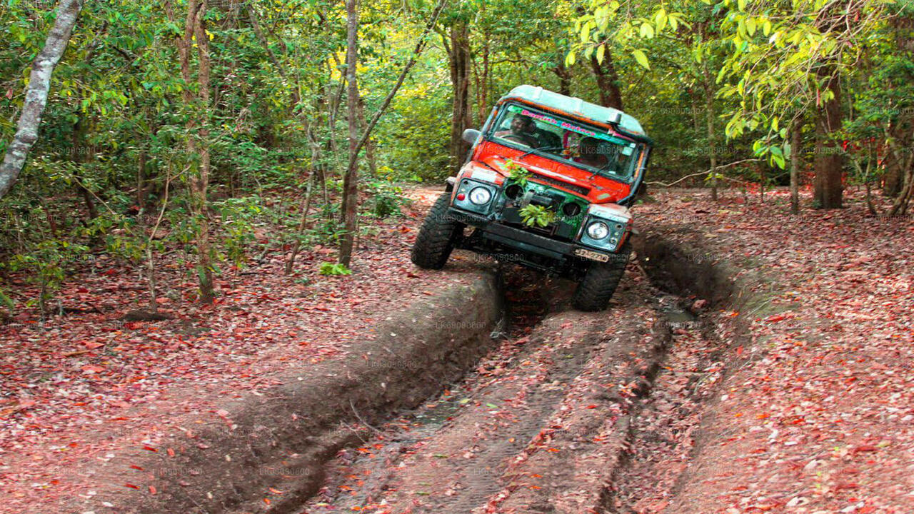 エッラ発ディヤルマ滝への 4WD ツアー