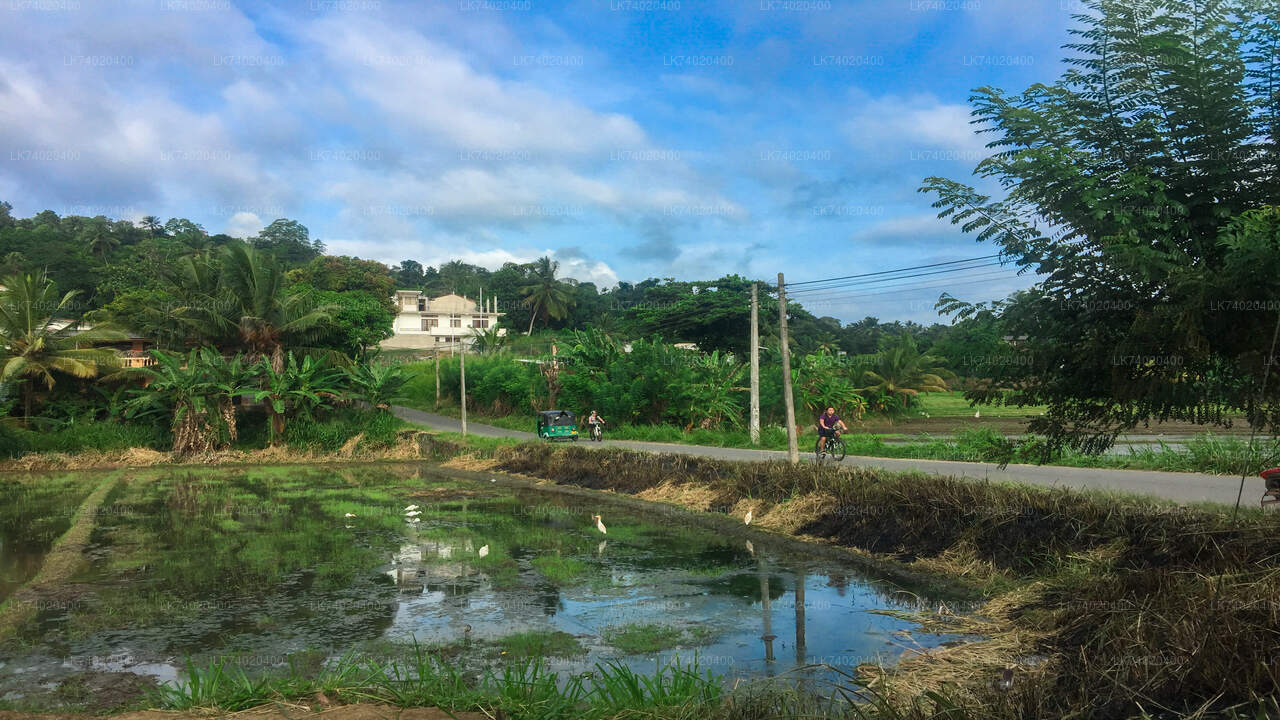 キャンディからの田園地帯のハイキング