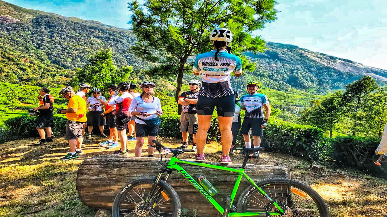 キャンディから自転車で行く茶畑