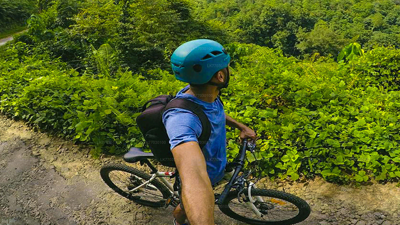 ベントータからのサイクリング