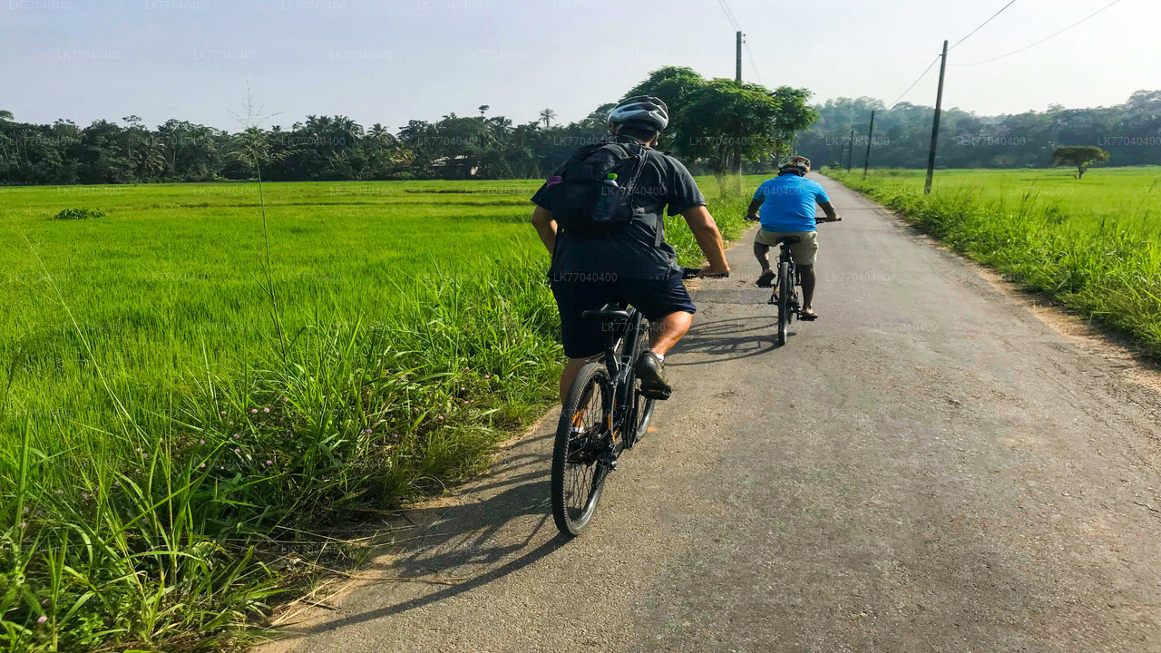 ゴール発アドベンチャーサイクリング