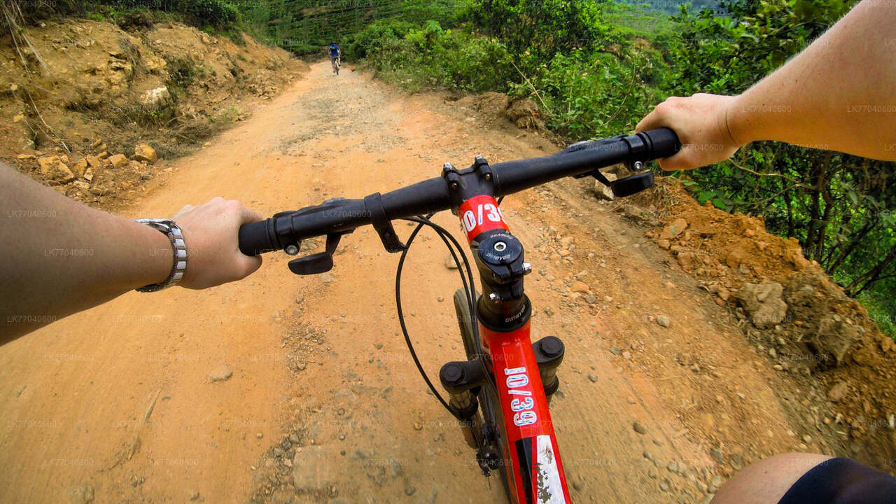 ゴール発朝のスポーツサイクリング