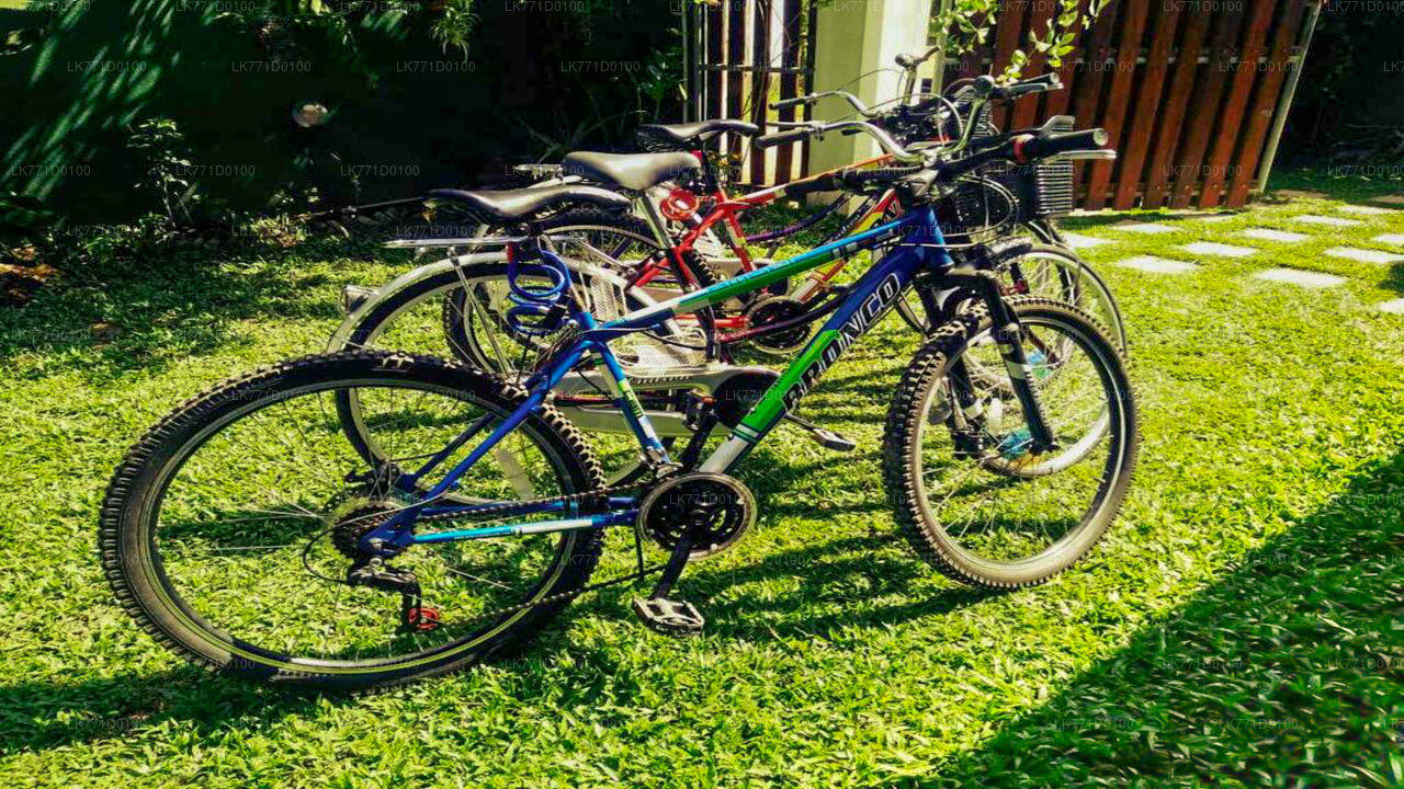 キトゥルガラからのサイクリング