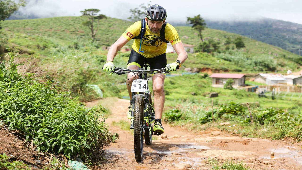 ヌワラエリヤから自転車で巡るティートレイル
