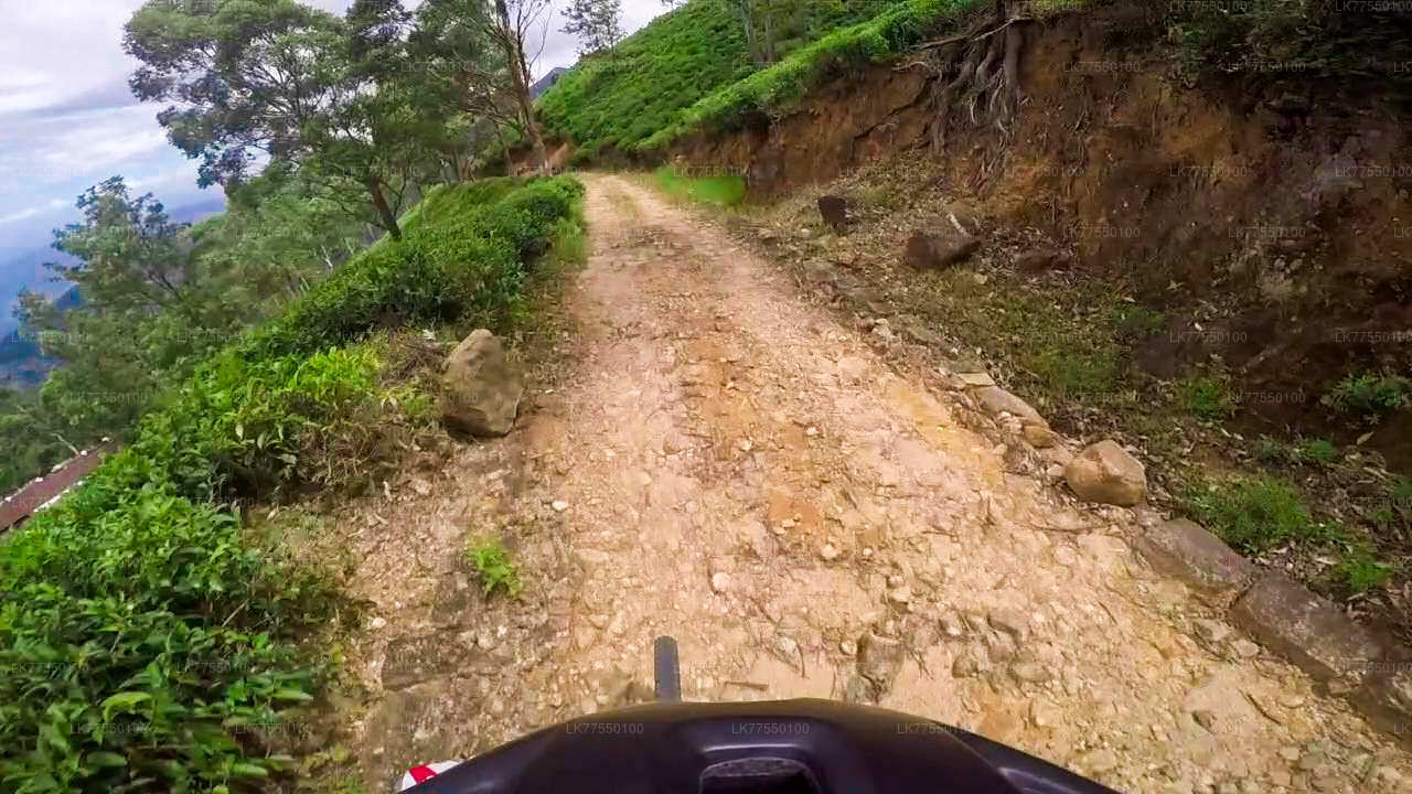 大比谷から自転車で行く悪魔の階段